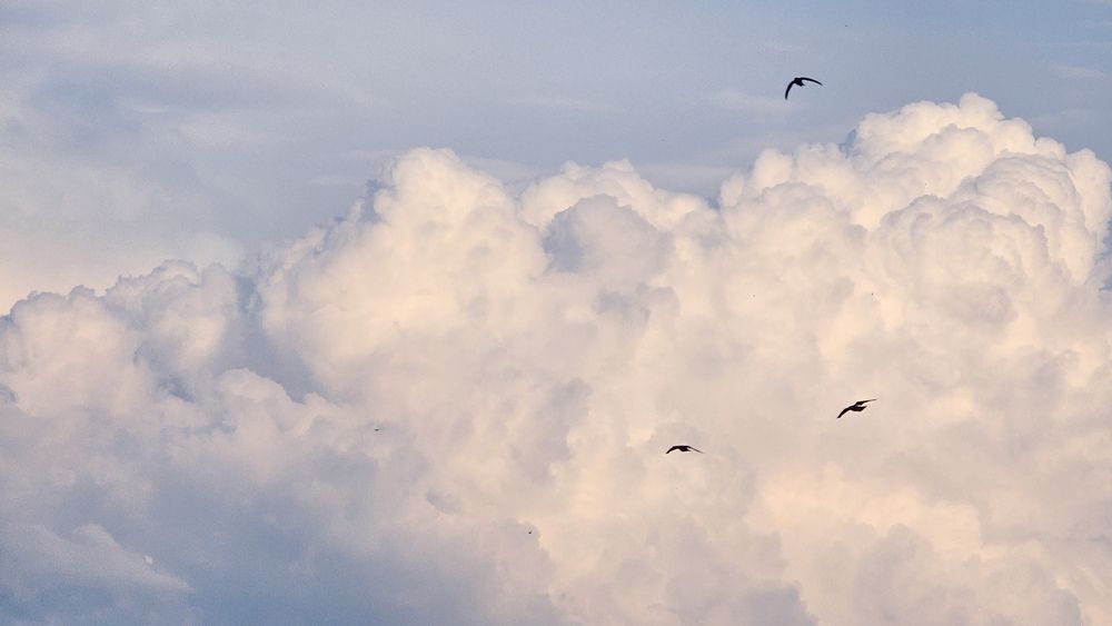 Фотография автора Ольга Рыняк