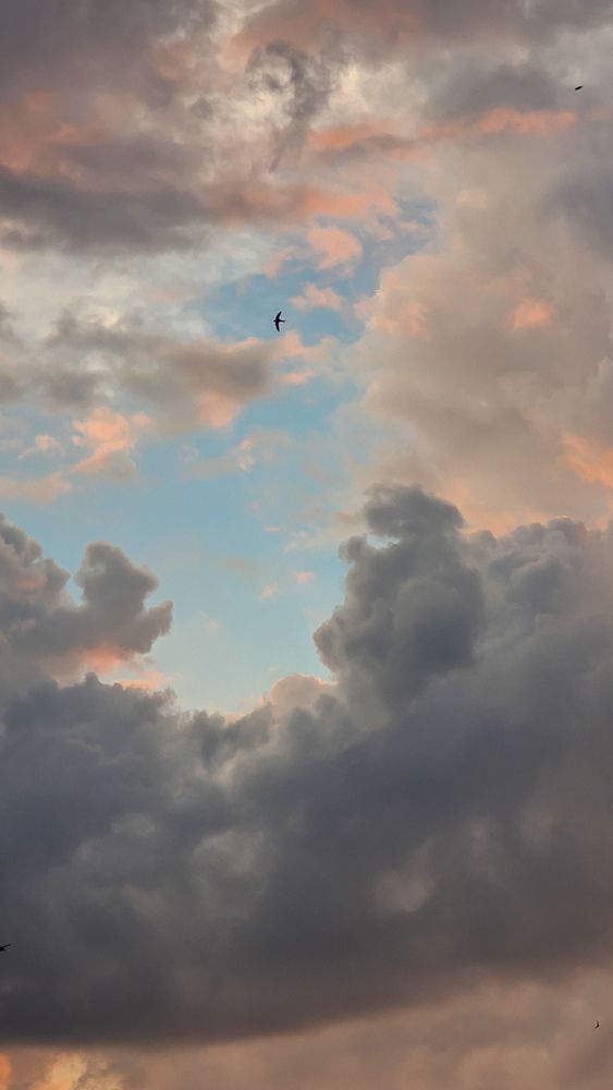 Фотография автора Ольга Рыняк