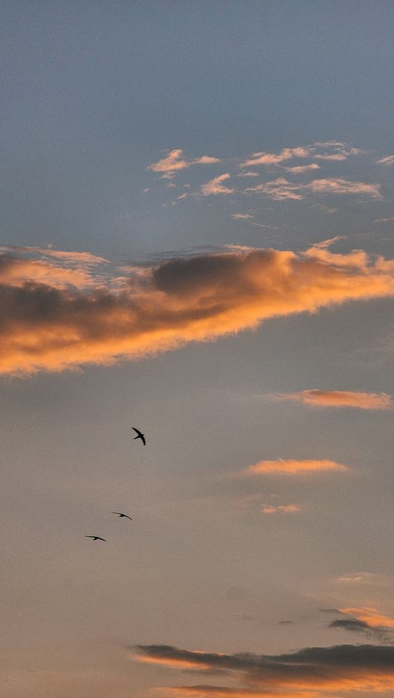 Фотография автора Ольга Рыняк