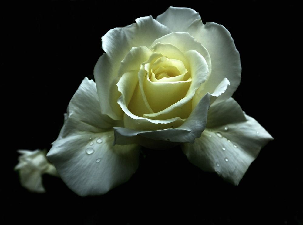 Photograph by Norayr Khazhakyan