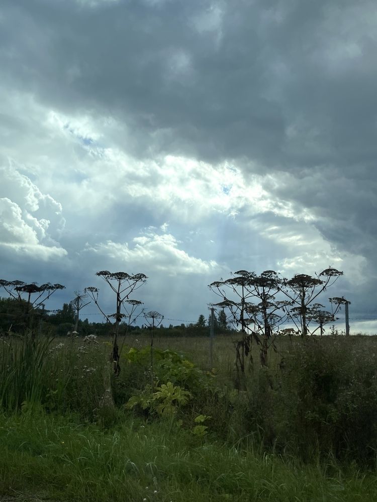 Photograph by Екатерина Одинцова