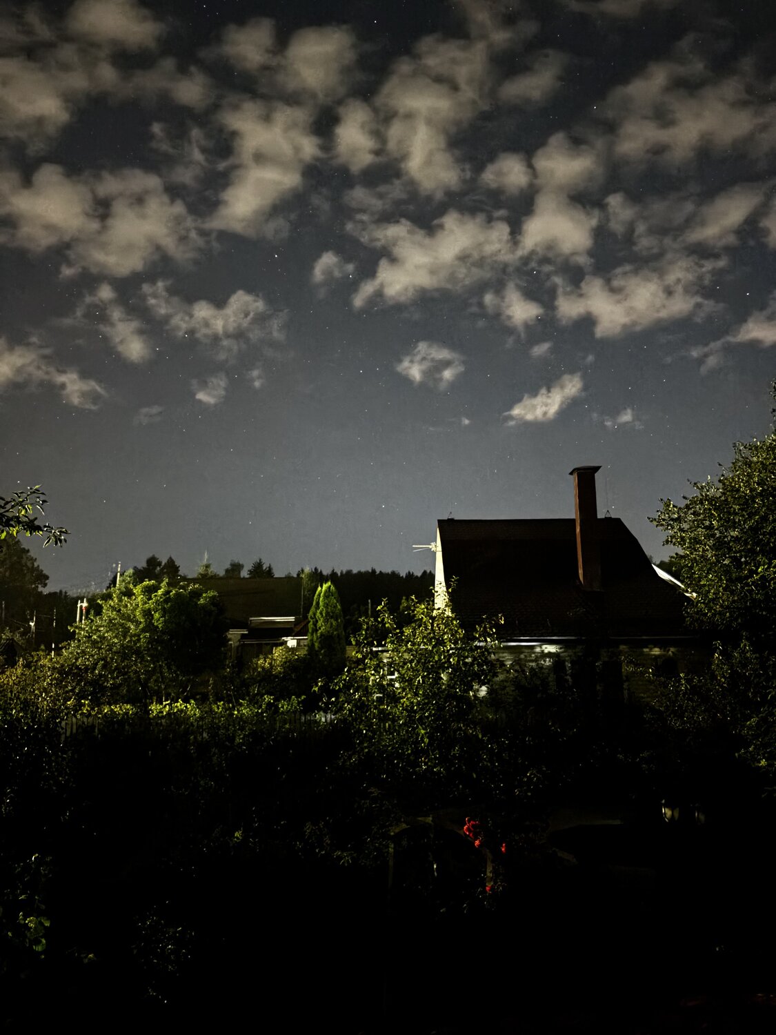 Photo #12504171