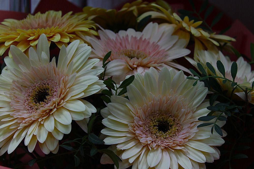 Photograph by Дмитрий Мазурин