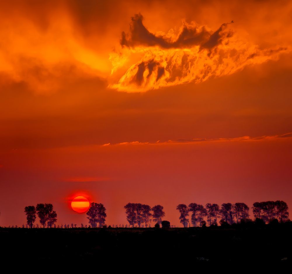 Photograph by Алексей Козлов