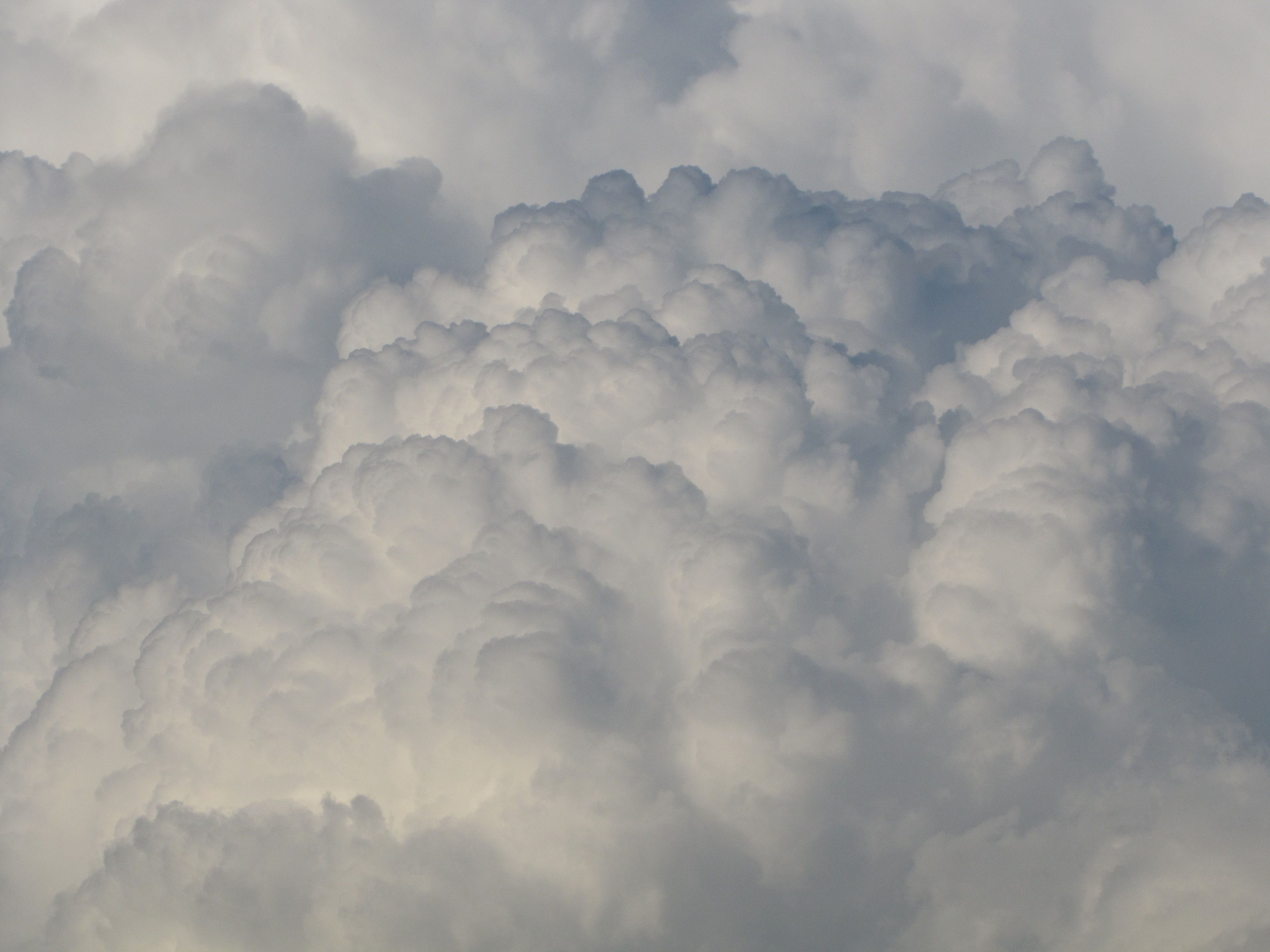 Фотография автора Кузьмичева Екатерина Васильевна