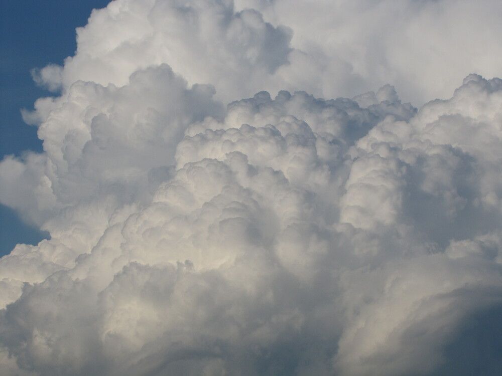 Фотография автора Кузьмичева Екатерина Васильевна