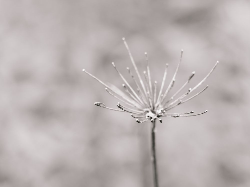 Photograph by Юлия Черкасова