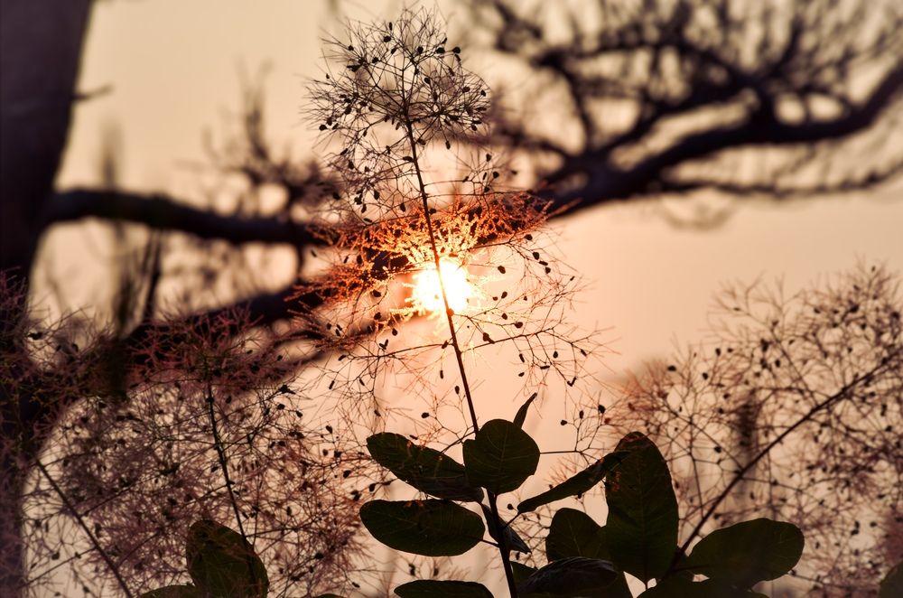 Фотография автора Еремеева Лада
