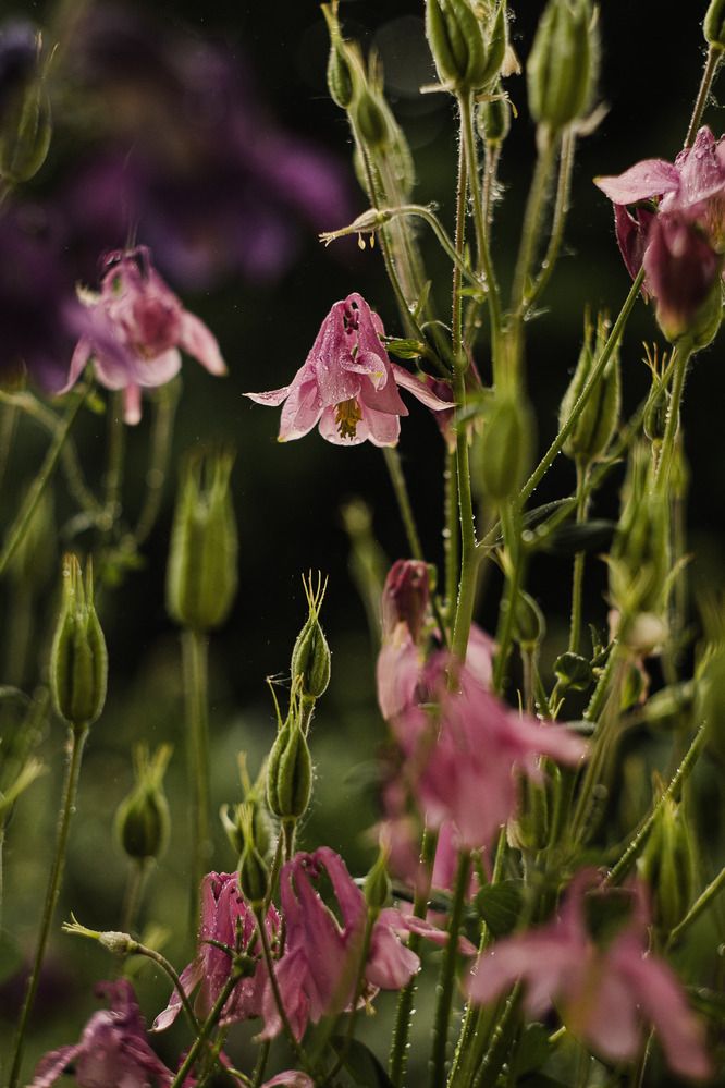 Photograph by Юлия Черкасова