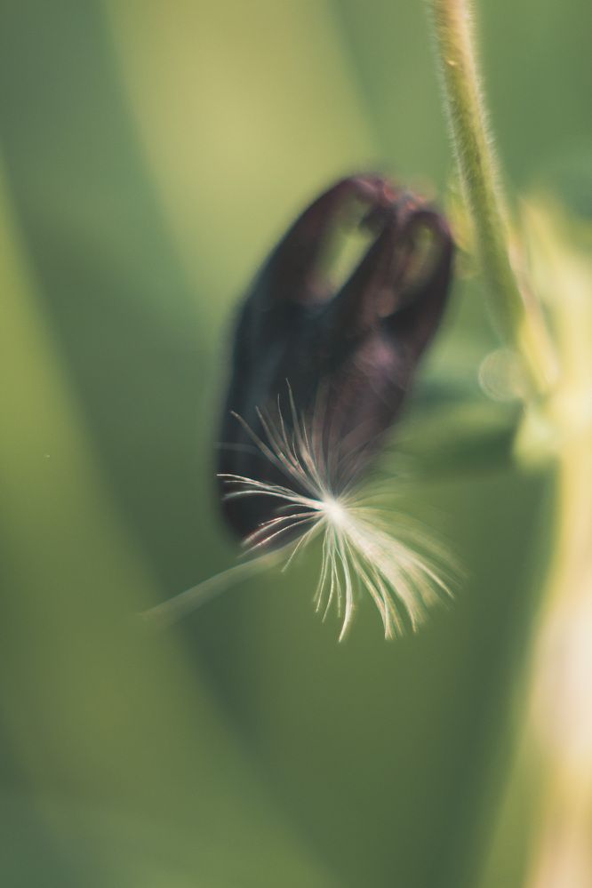 Photograph by Юлия Черкасова