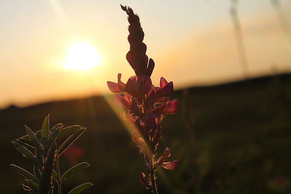 Photograph by Дмитрий Мазурин