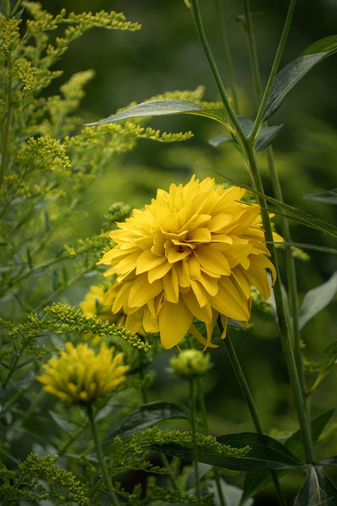 Photograph by Высотских Владимир