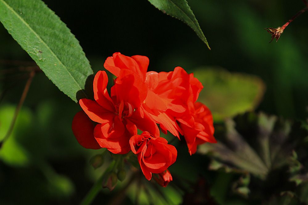 Photograph by Дмитрий Мазурин