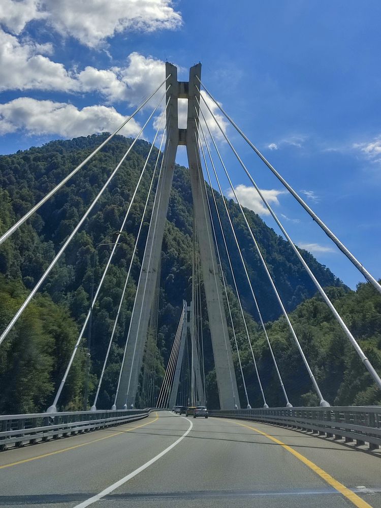 Фотография автора Татьяна Петренко