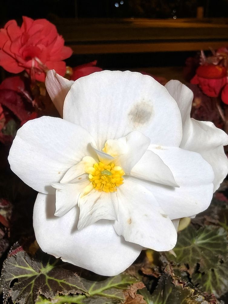 Photograph by Высотских Владимир