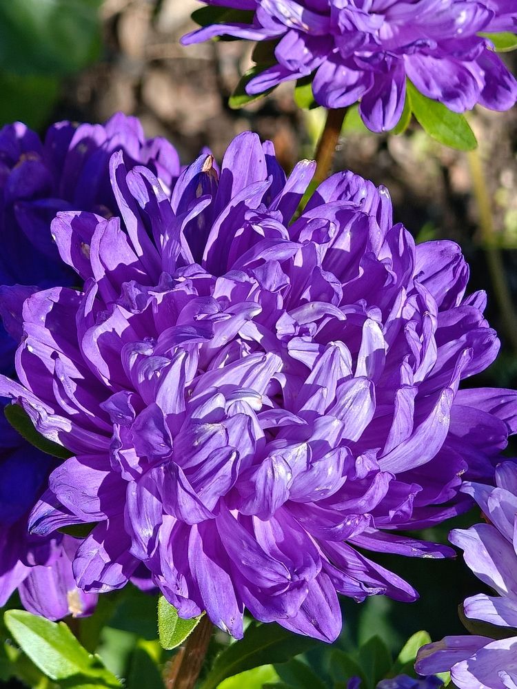 Photograph by Высотских Владимир