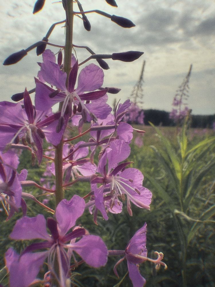 Photograph by Ирина Артюх