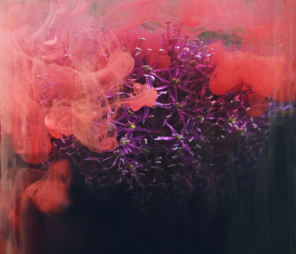 Photograph by Константин Мишнаевский