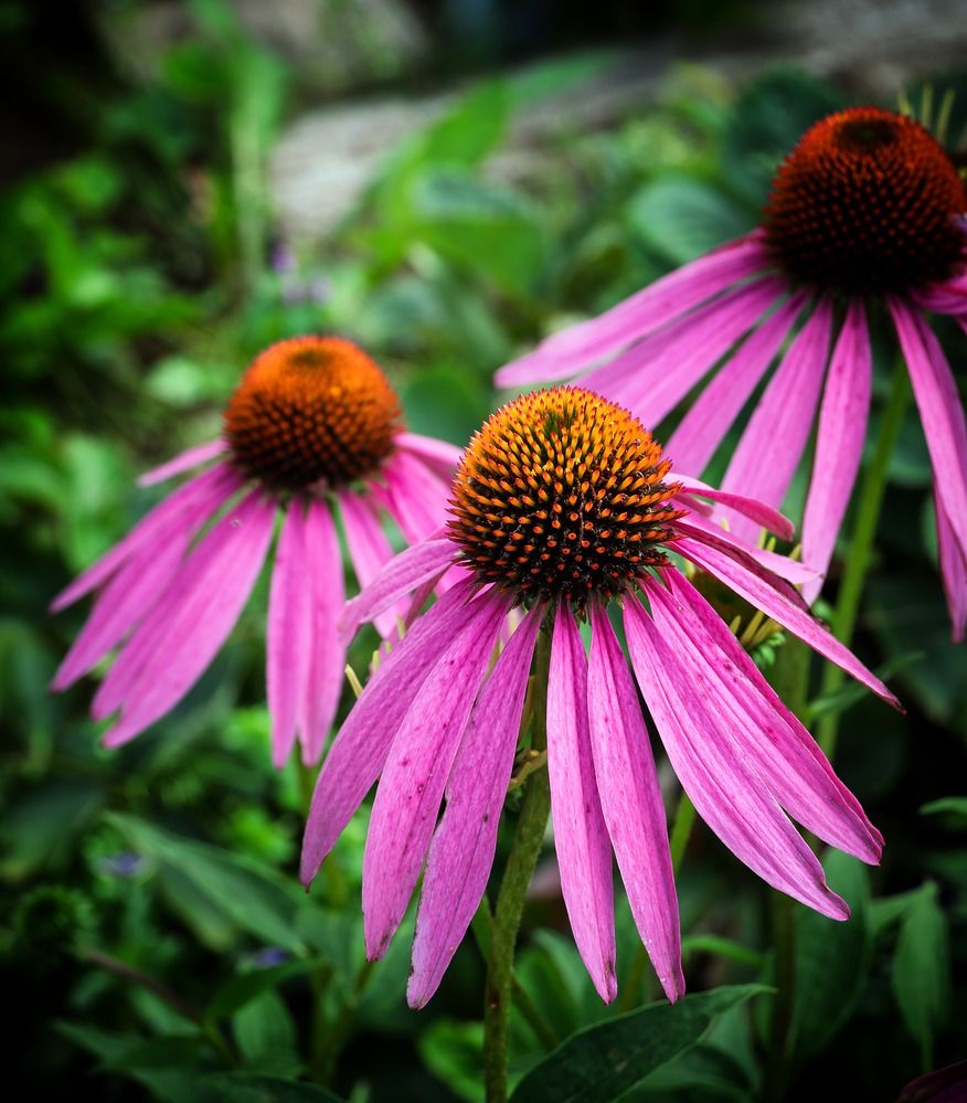 Photograph by Светлана Ващенко