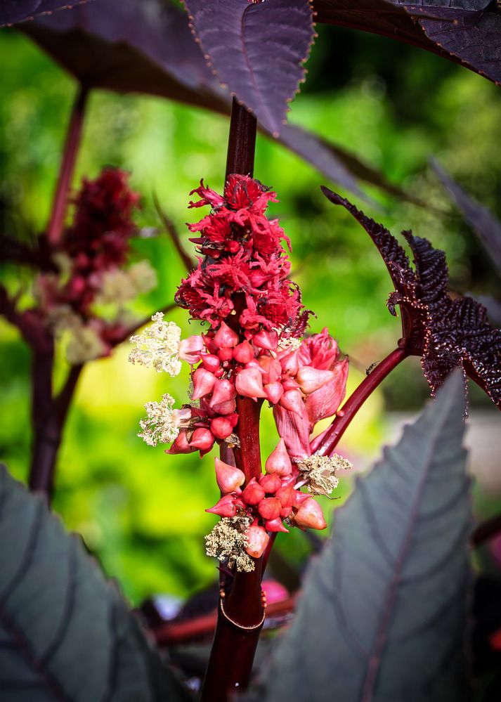 Photograph by Светлана Ващенко