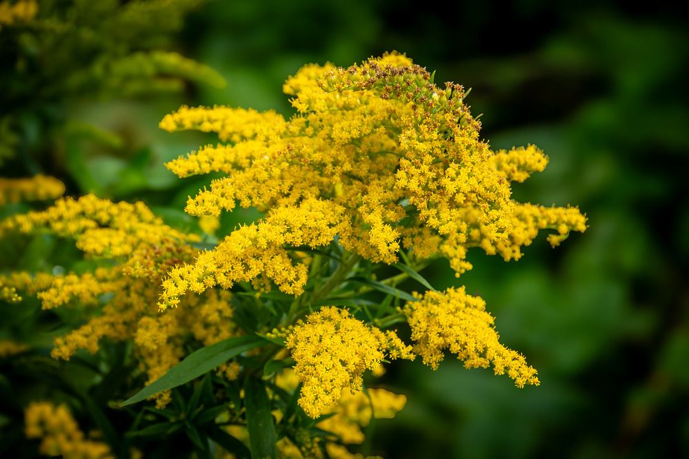 Photograph by Светлана Ващенко