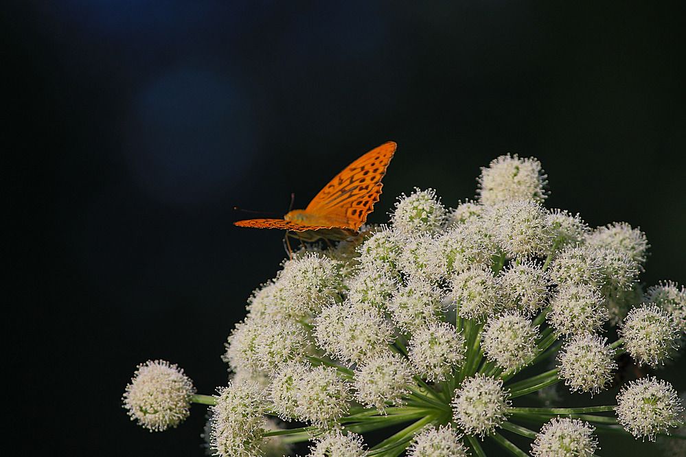 Photograph by Дмитрий Мазурин