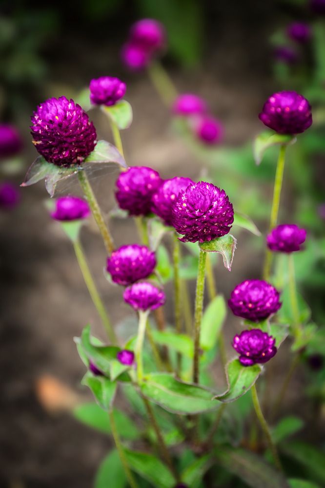 Photograph by Светлана Ващенко