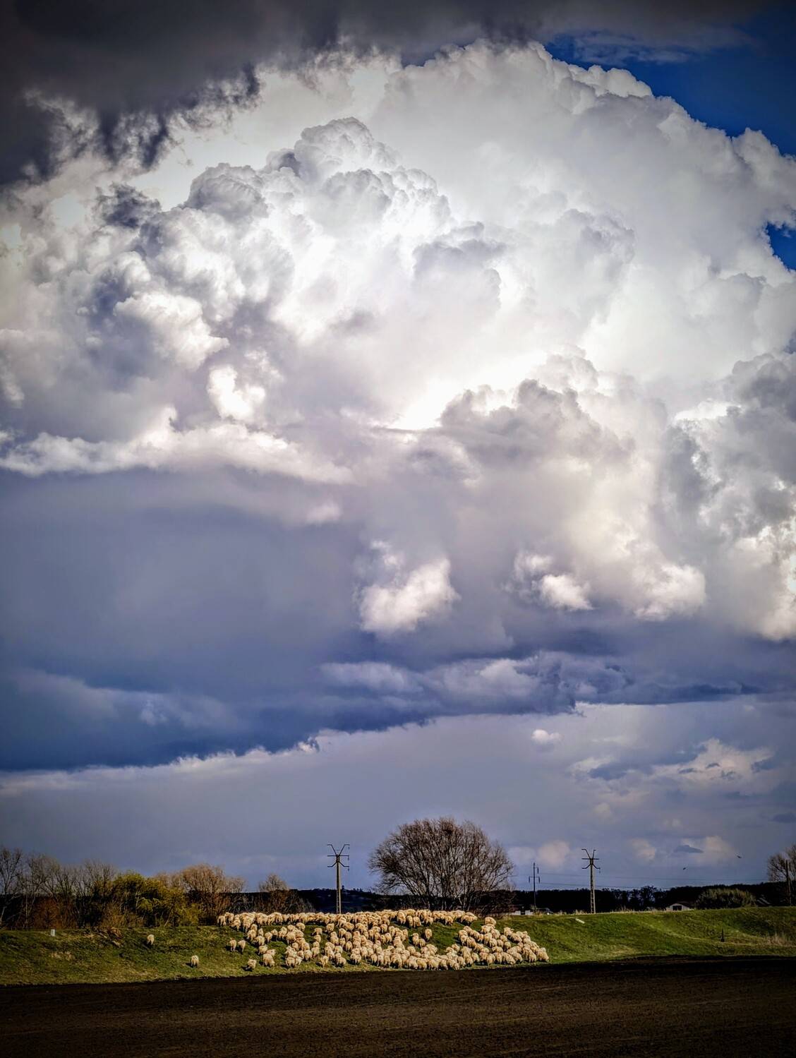 Photo #12504403