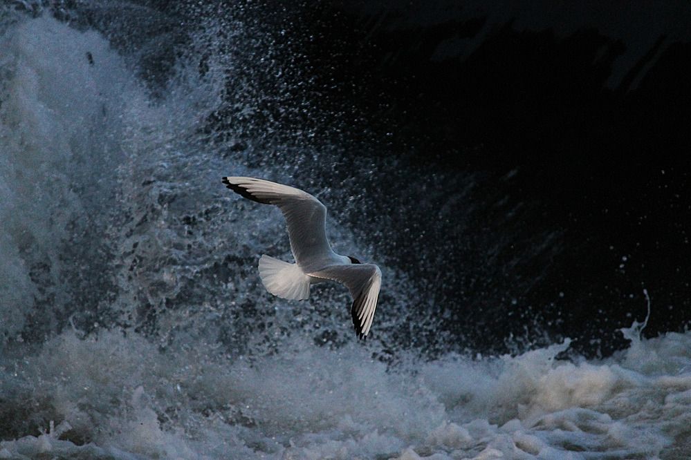 Photograph by Дмитрий Мазурин