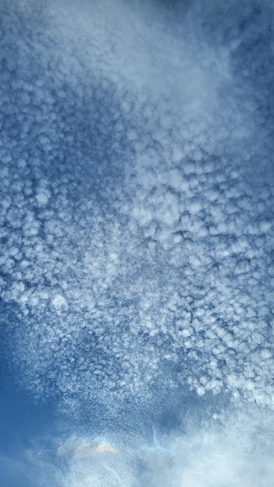 Photograph by Дарья