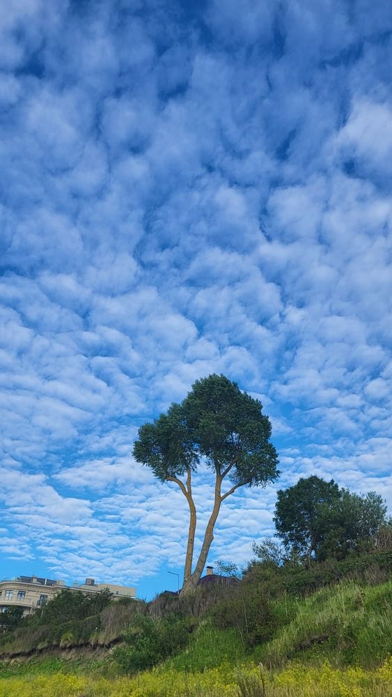 Photograph by Дарья