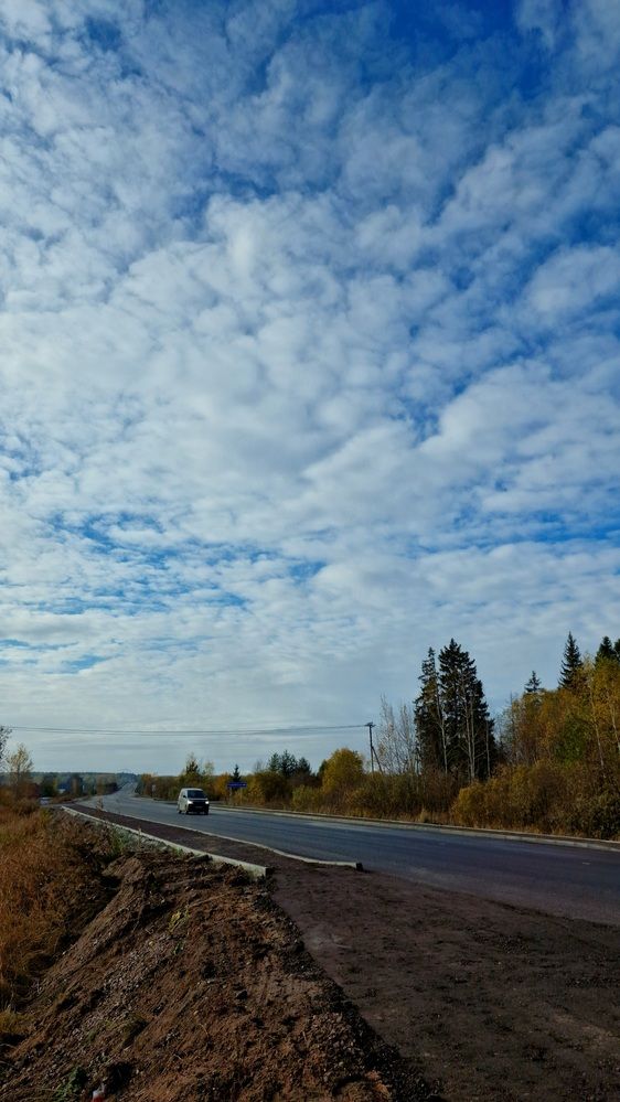 Фотография автора Ольга Быстрова