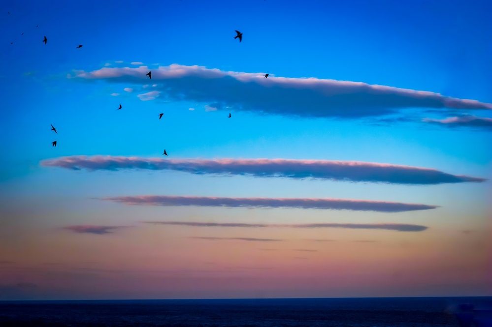 Photograph by Marina Mossiy