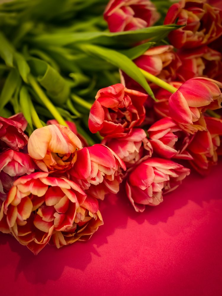 Photograph by Елена Сиушова