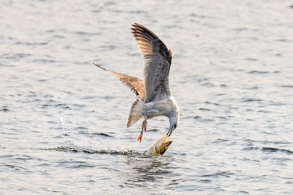 Photograph by Валерия Трейтяк