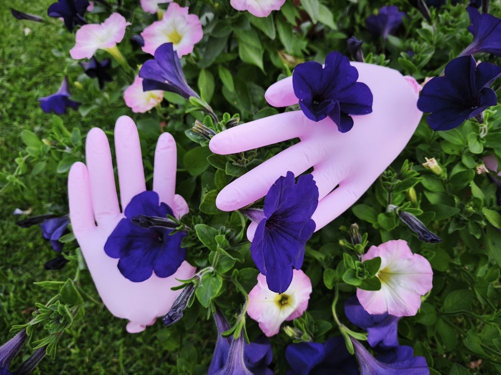 Фотография автора Татьяна Алексеева