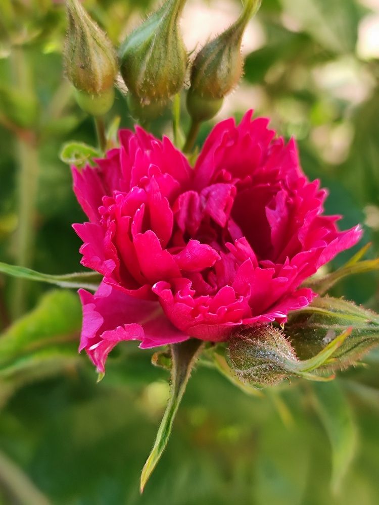Фотография автора Татьяна Иванова