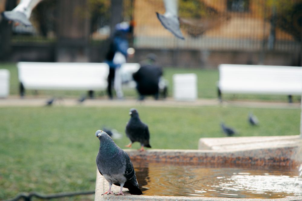 Photograph by Елена Ковальчук