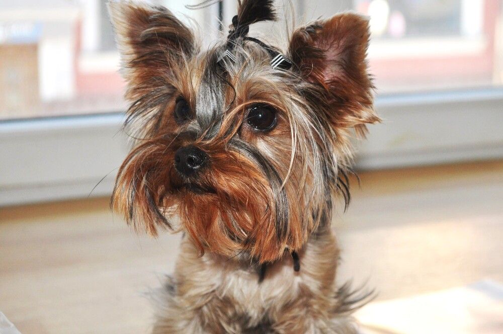 Photograph by Хвостов владимир Владимирович