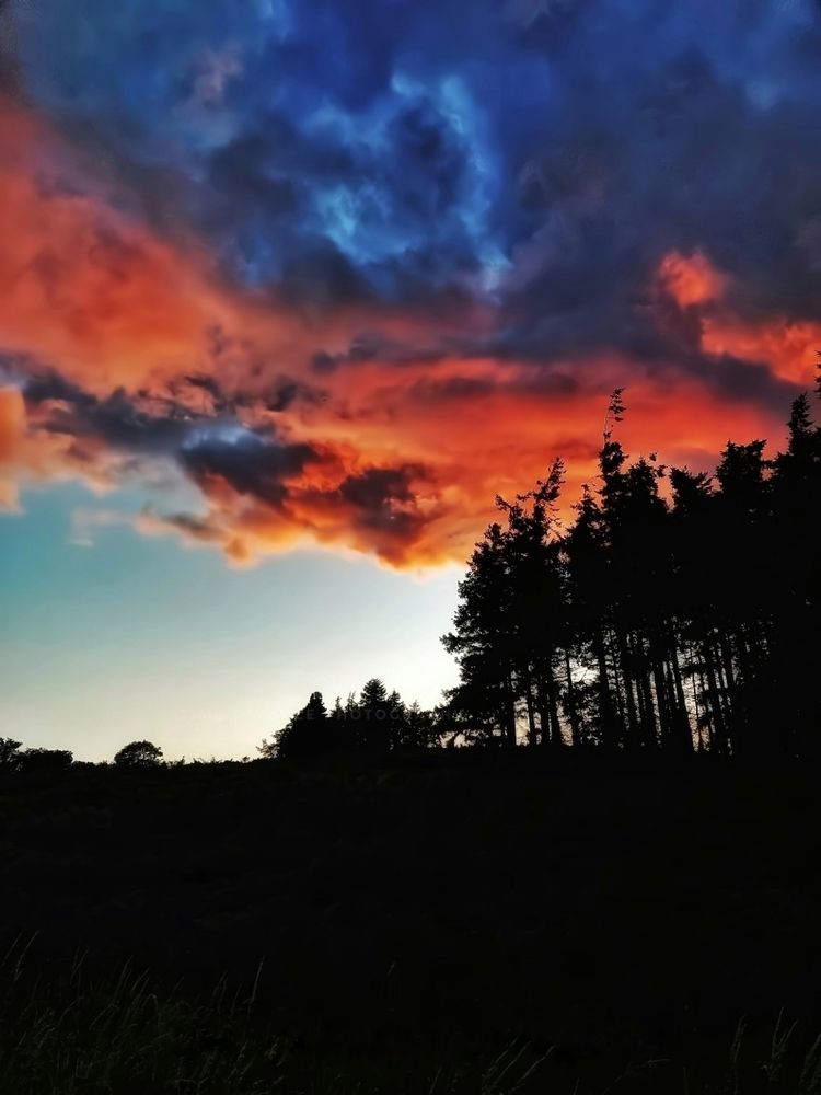 Photograph by Chinmaya Patil