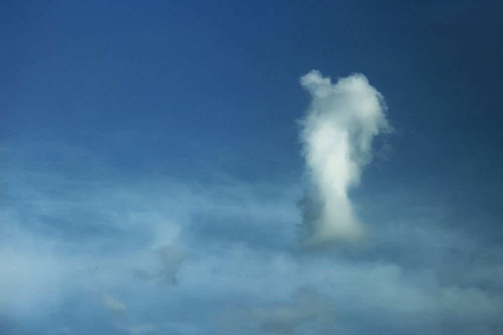 Photograph by Светлана Карнаух