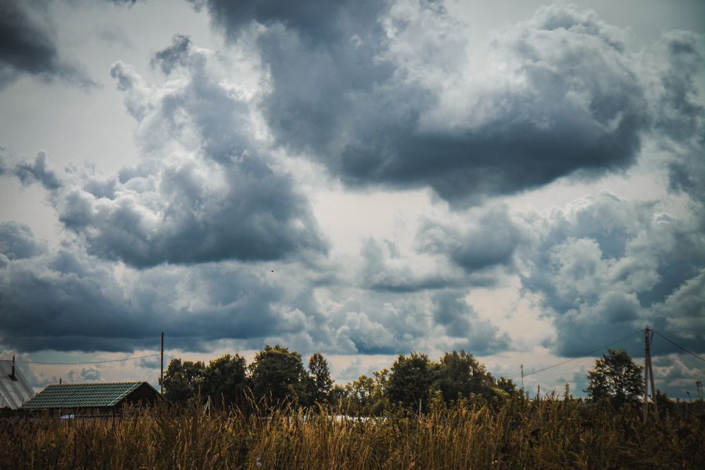 Photograph by Максим Торохов