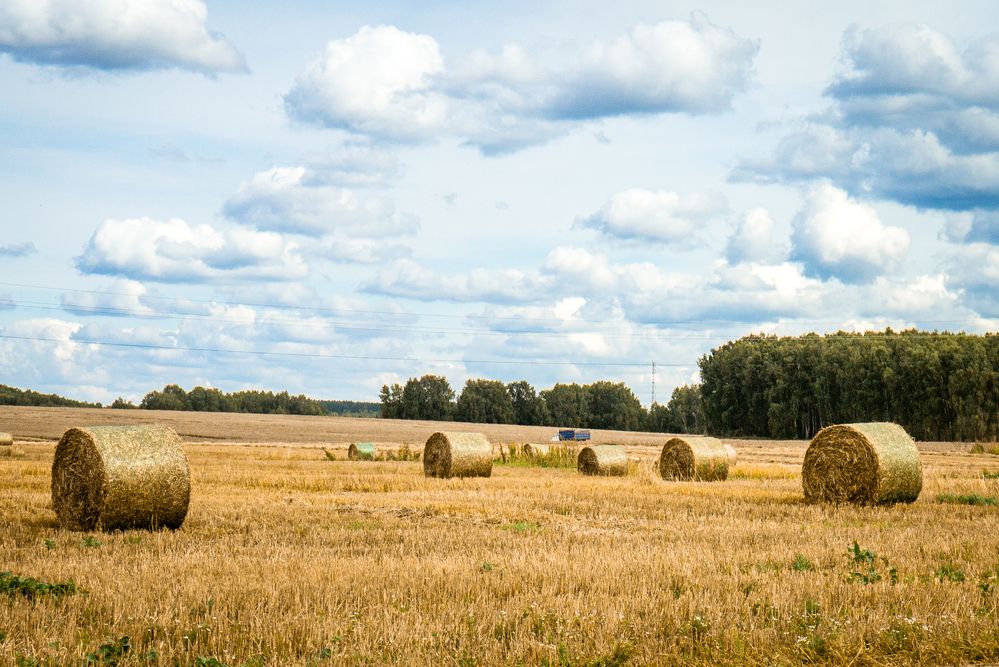 Photograph by Максим Торохов