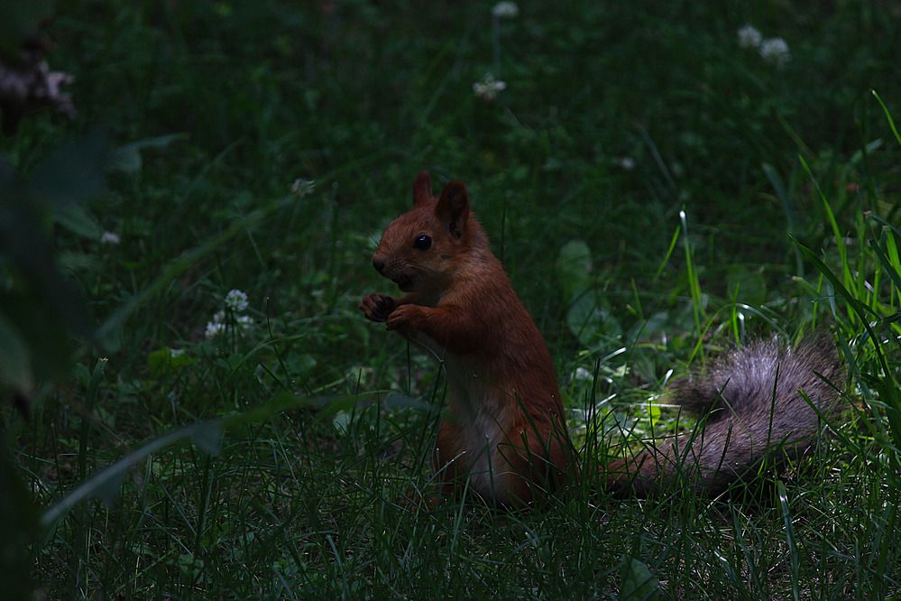 Photograph by Дмитрий Мазурин