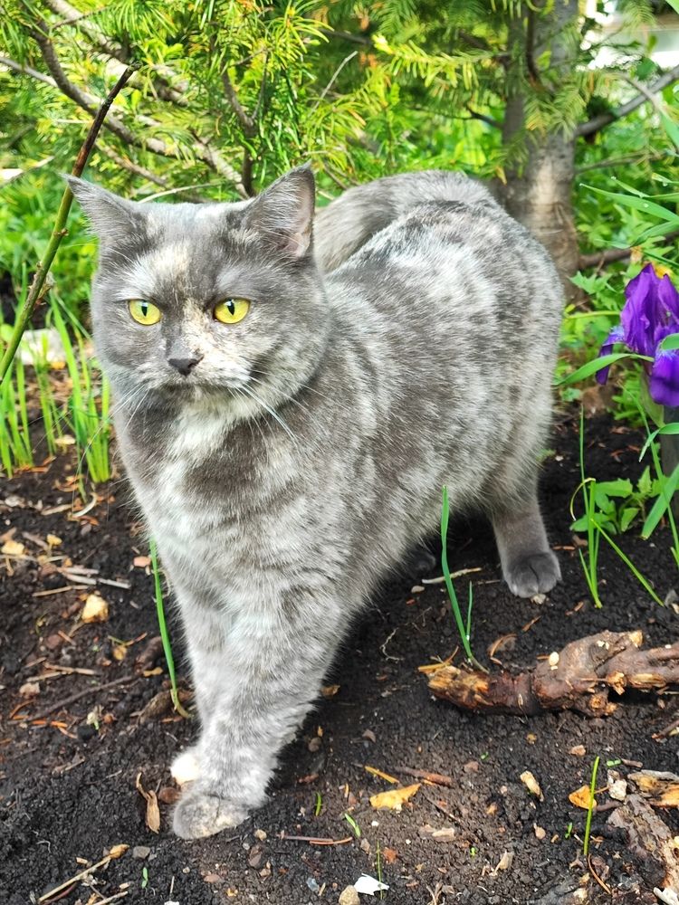 Photograph by Елена Новикова