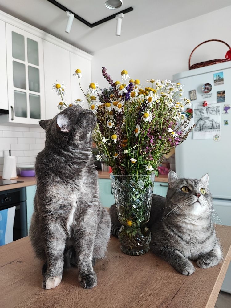 Photograph by Елена Новикова