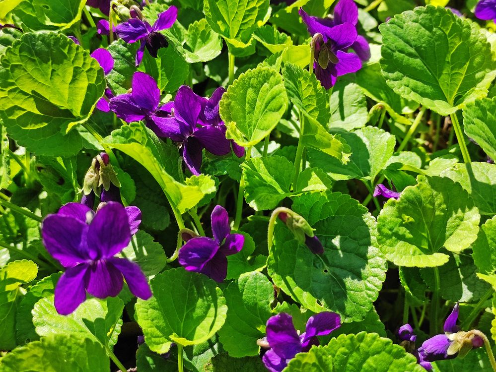 Фотография автора Taka2311