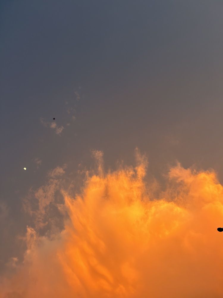 Photograph by Rakesh