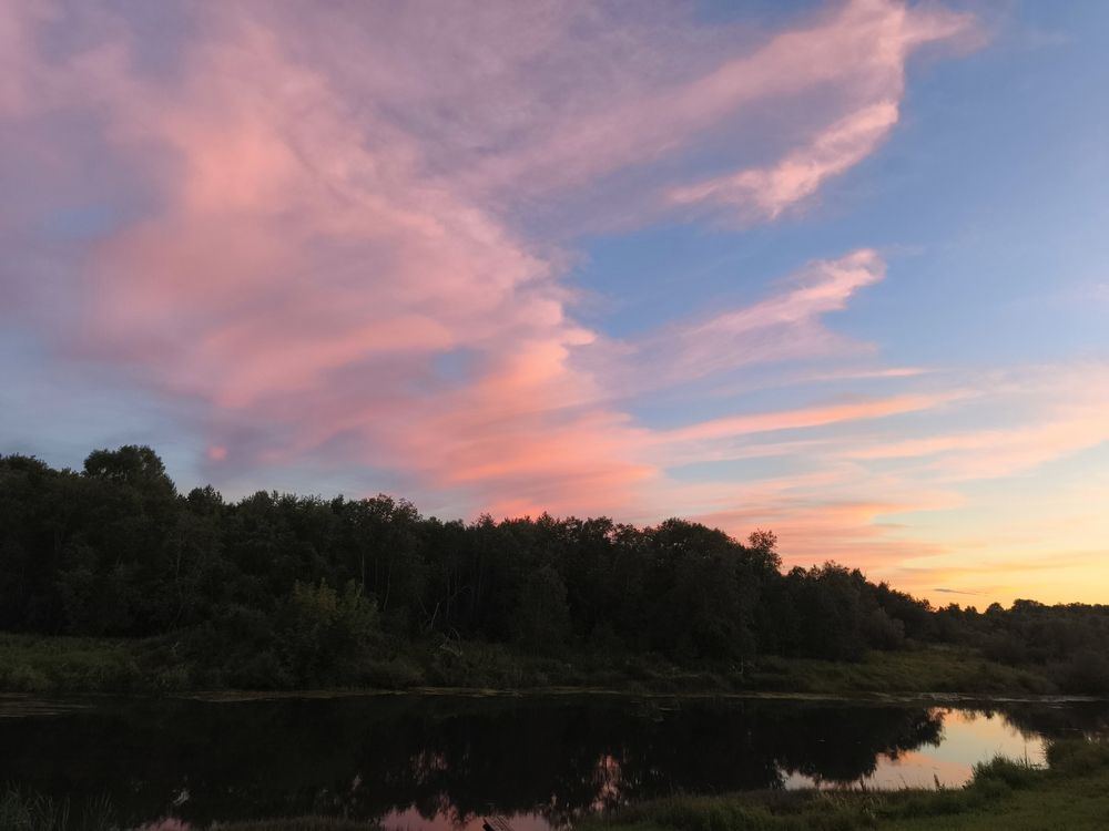 Фотография автора Татьяна Алексеева