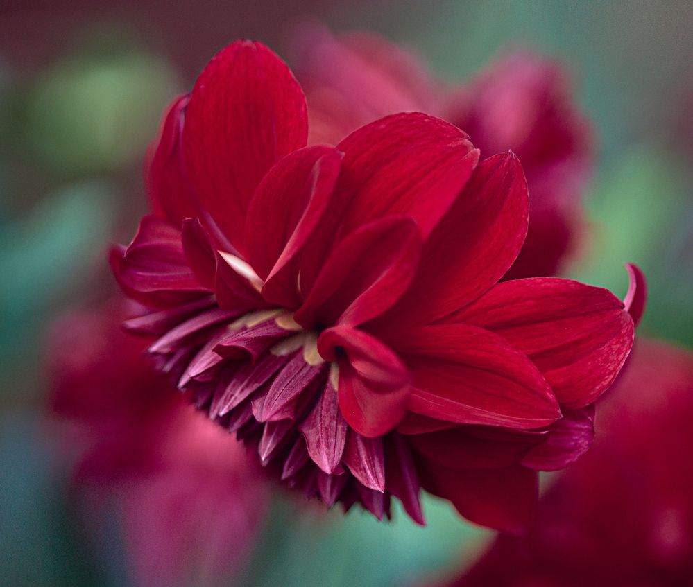 Photograph by Игорь Зиновьев